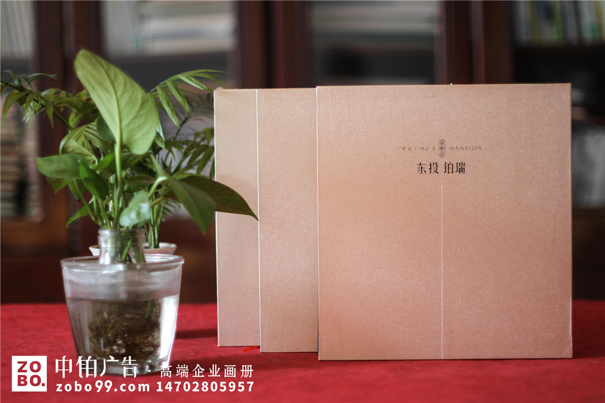 房地产销售楼书设计印刷