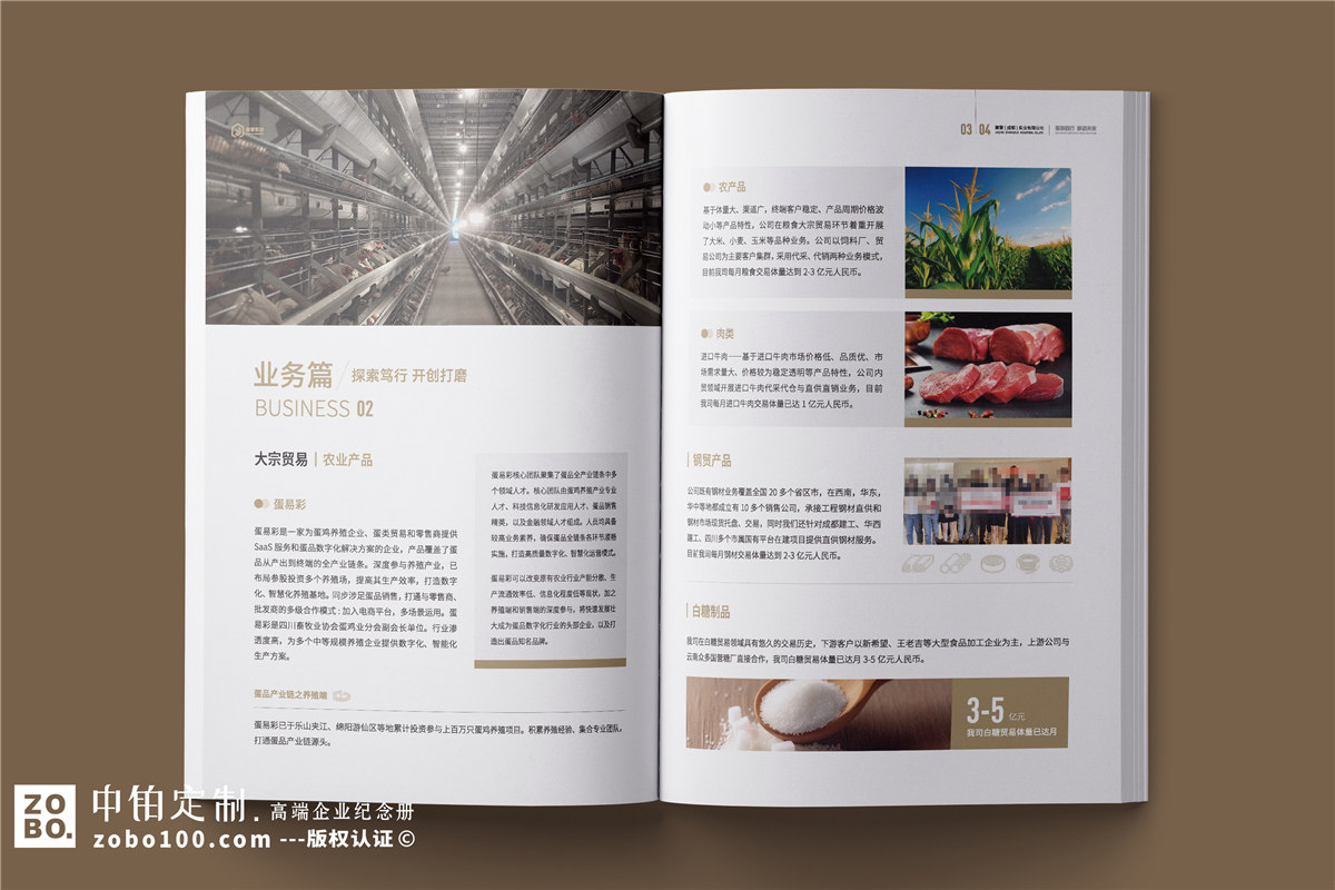 外贸公司宣传册设计-供应链管理企业画册