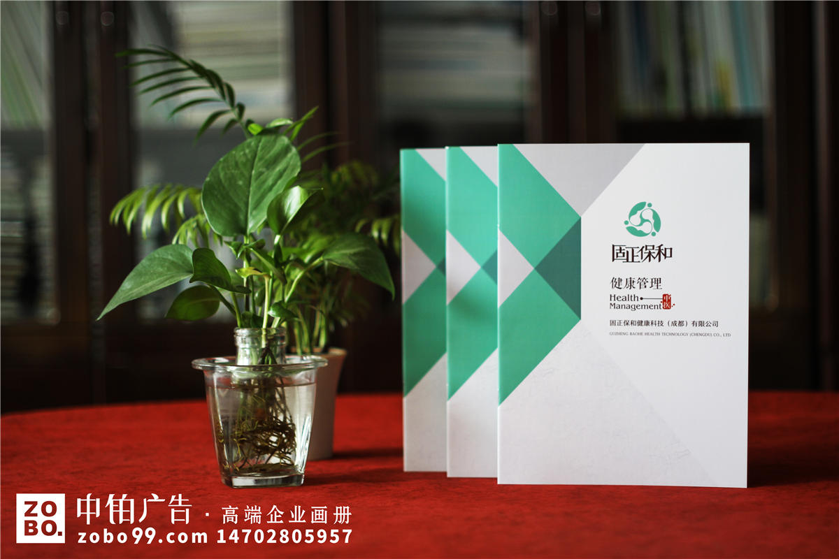 中药产品、健康管理公司宣传册