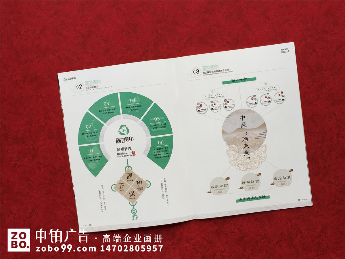 中药产品、健康管理公司宣传册