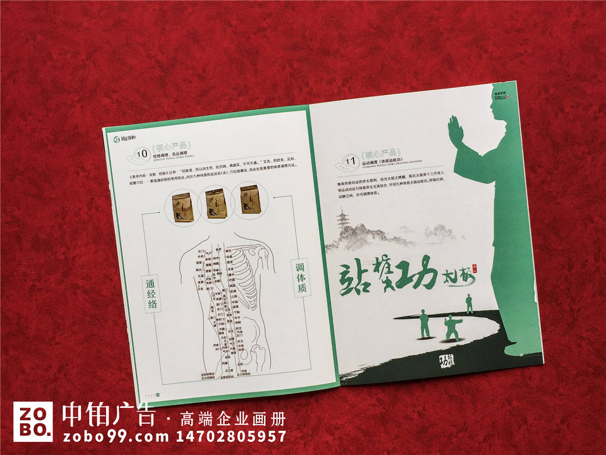 中药产品、健康管理公司宣传册