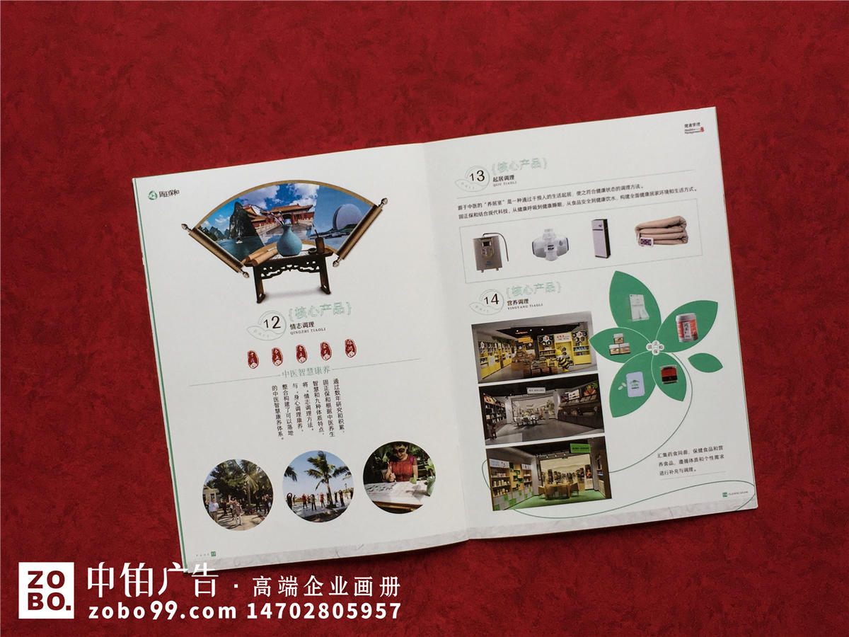 中药产品、健康管理公司宣传册