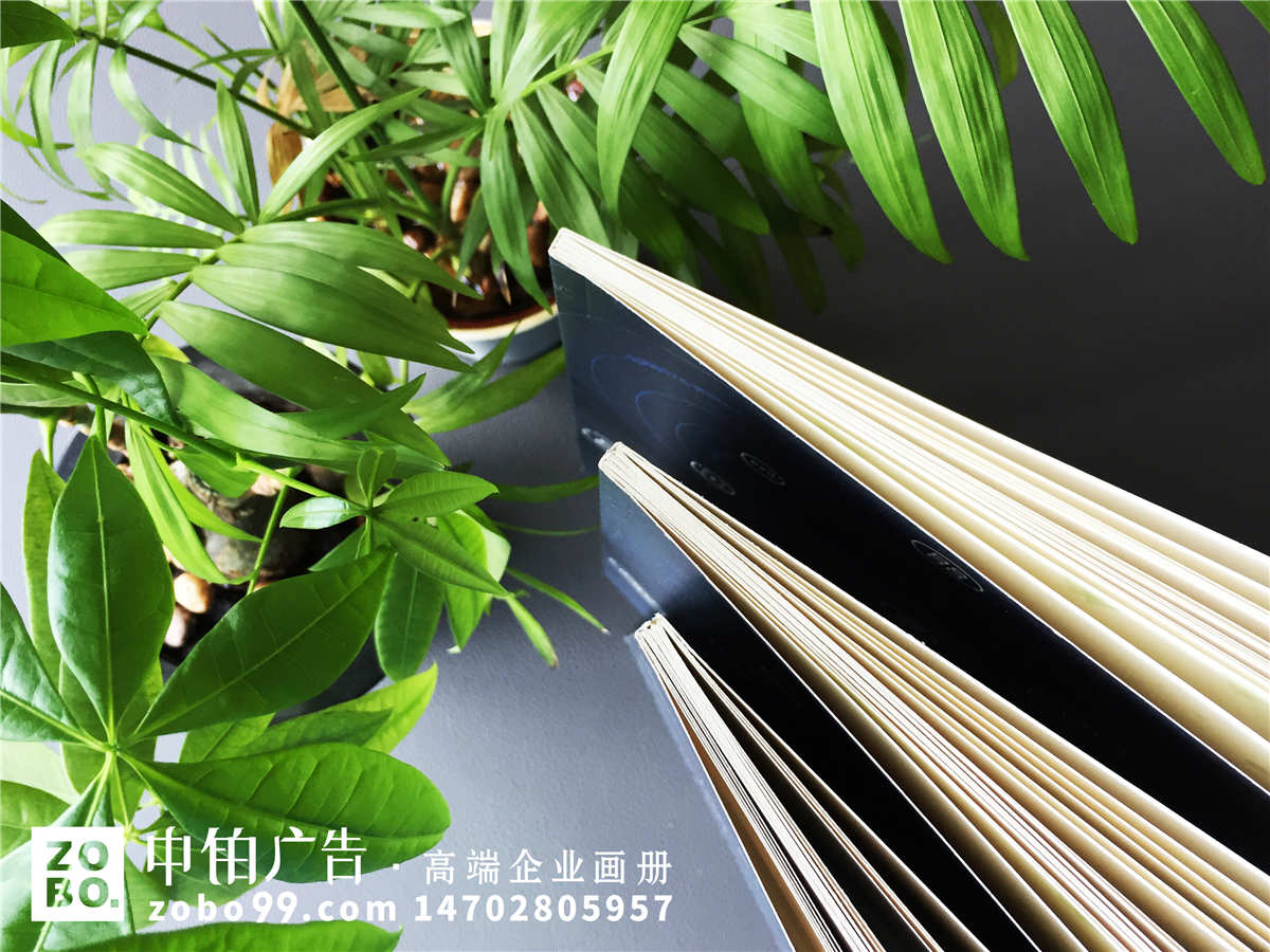 网络安全、互联网科技企业宣传画册