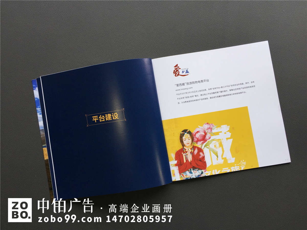 电子商务平台公司宣传画册