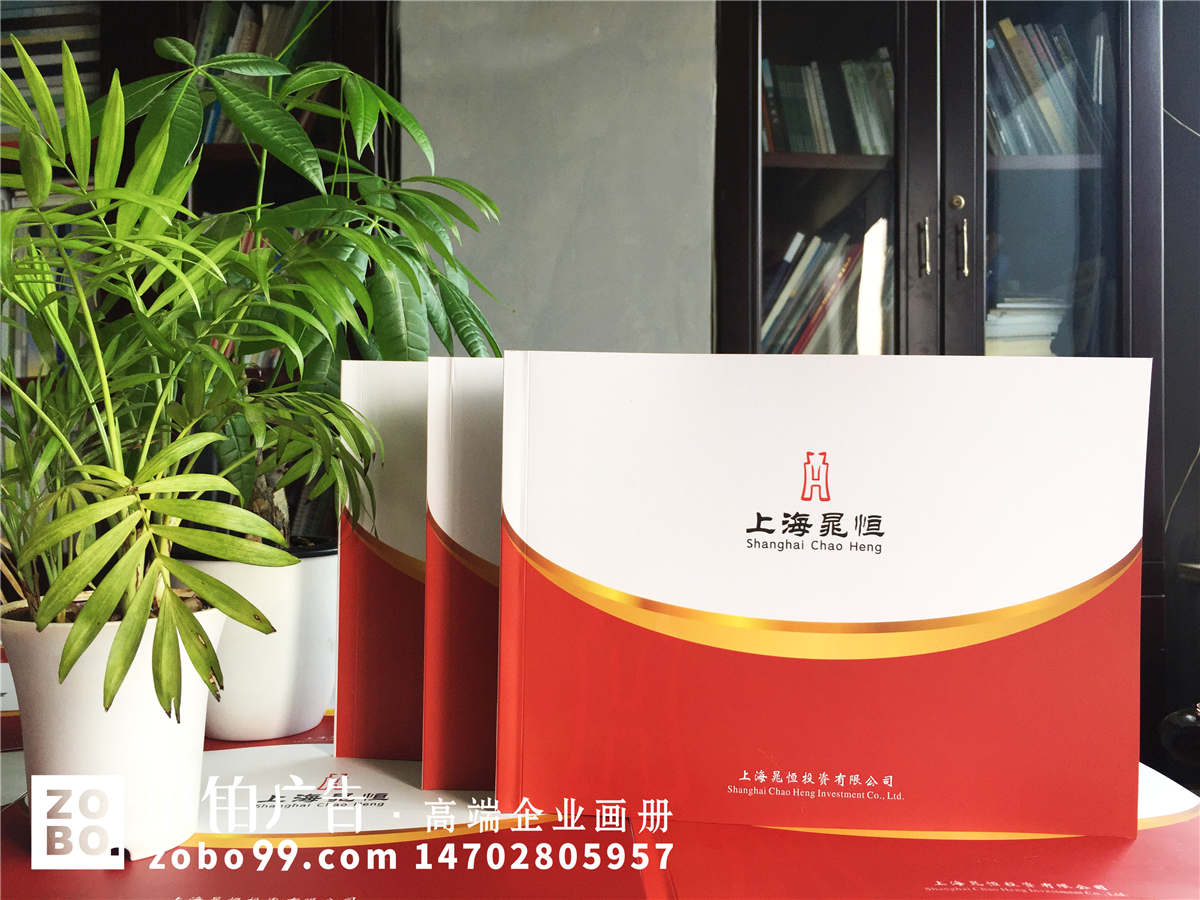 专业从事建材类实体投资的股份制企业