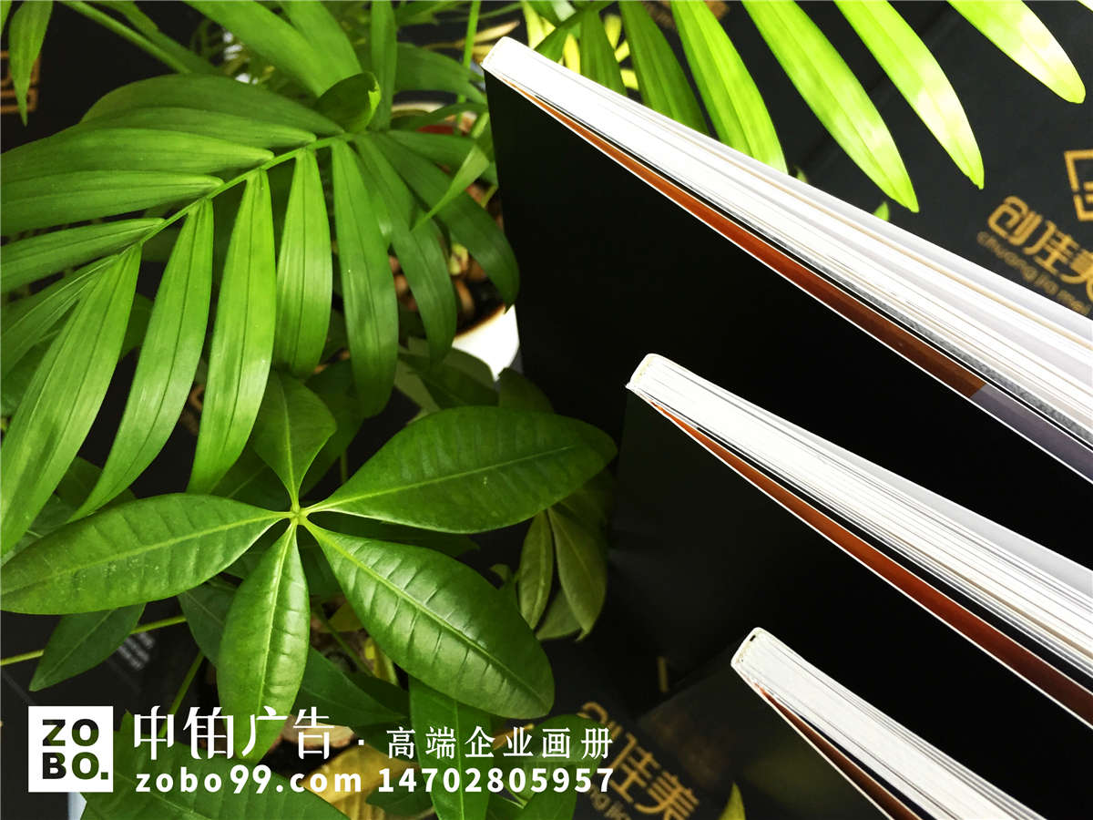 铝合金定制门窗生产、工艺玻璃加工厂家画册