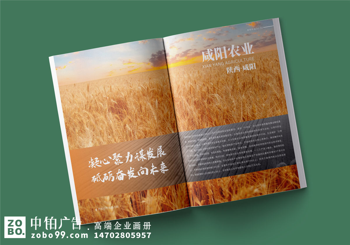 农业宣传册设计-农产品画册排版
