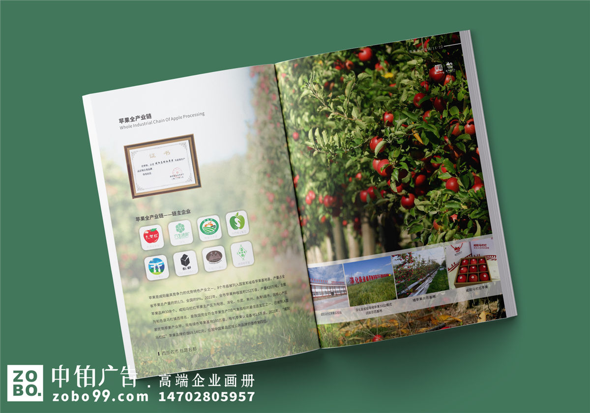 农业宣传册设计-农产品画册排版