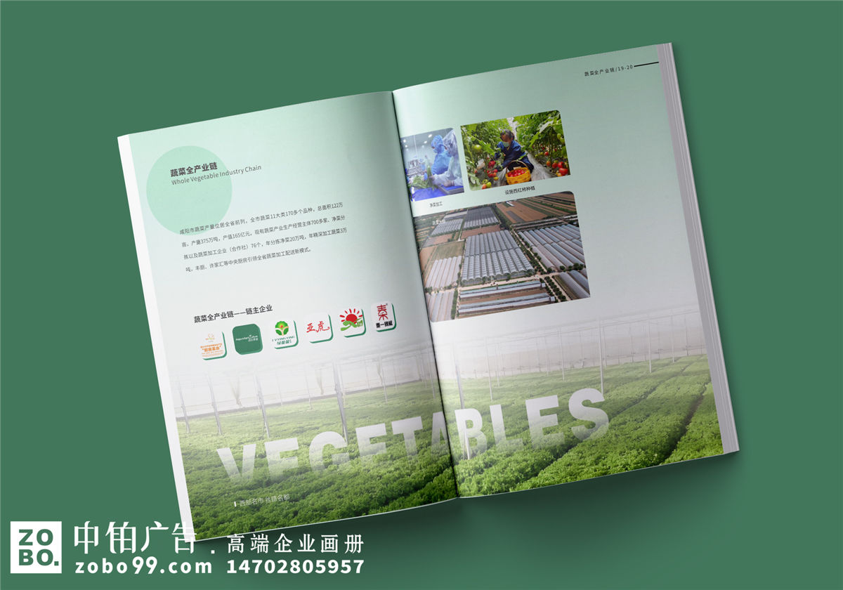 农业宣传册设计-农产品画册排版