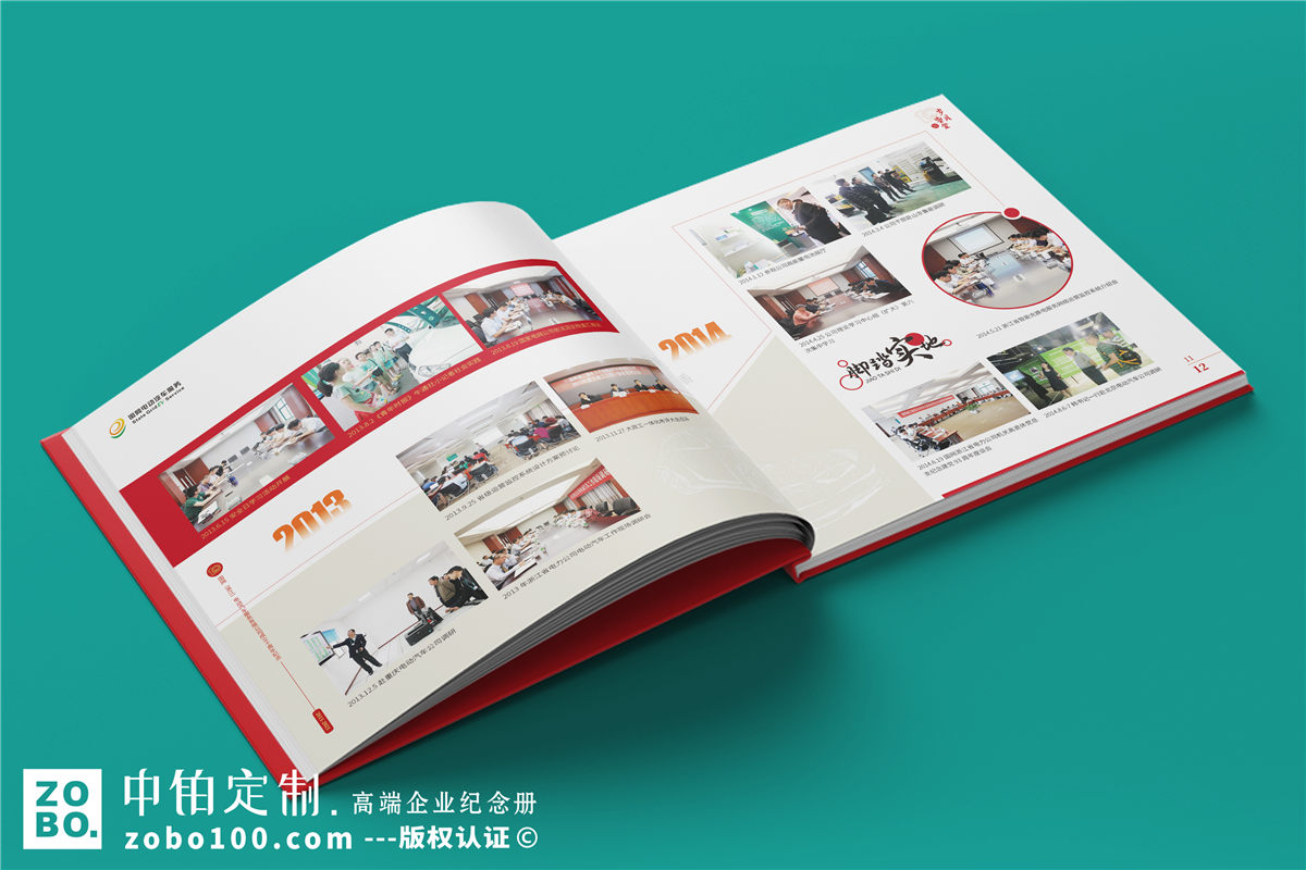 公司成立十周年宣传册-国网新能源电力服务公司10周年纪念画册