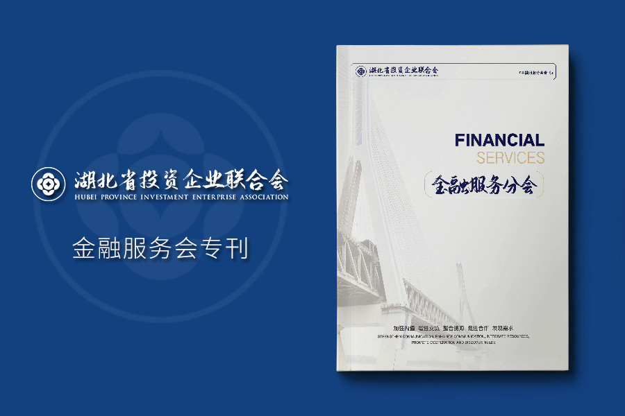 《金融服务分会》期刊杂志设计