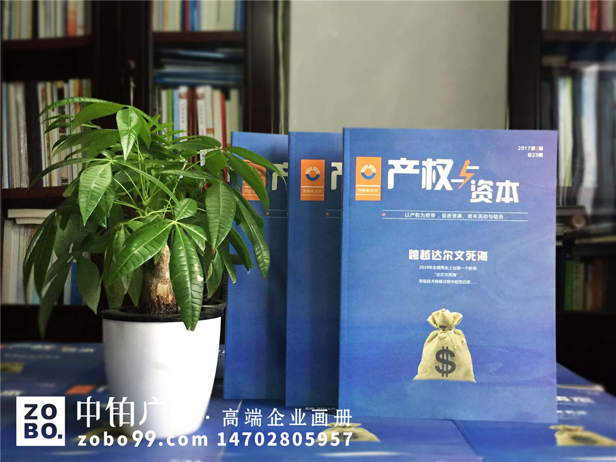 《产权与资本》企业内刊设计印刷
