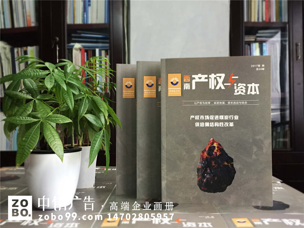 《产权与资本》企业内刊设计印刷