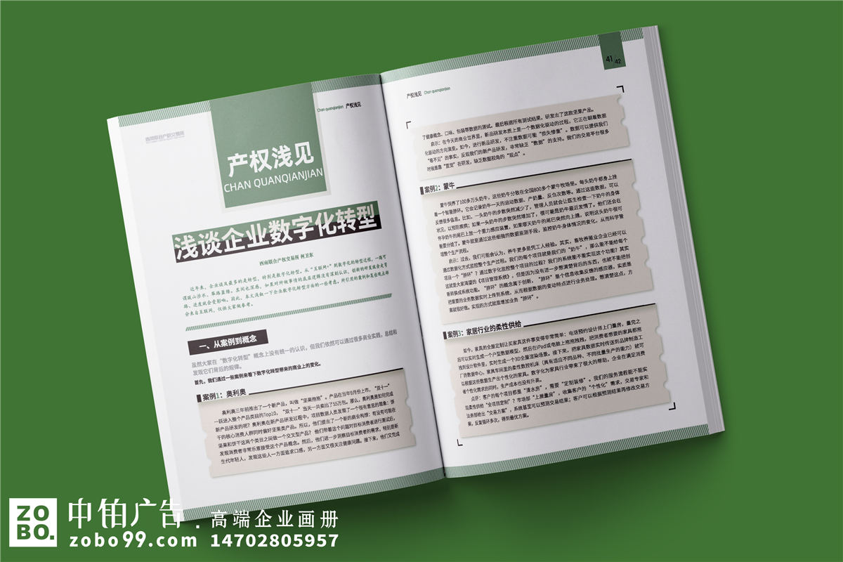 企业季刊-公司季度文化内刊设计