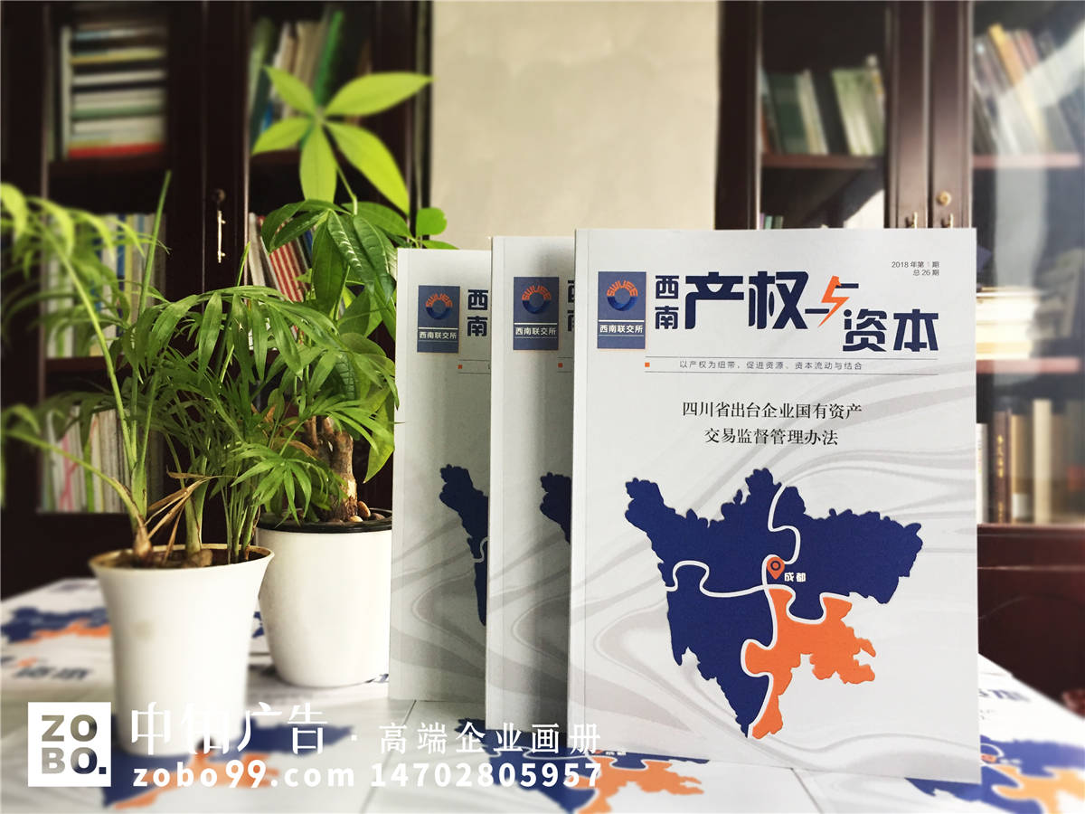 《产权与资本》企业内部期刊编印