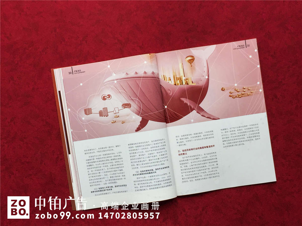 《产权与资本》国庆70周年专刊特辑
